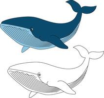 baleine clipart ensemble. coloré et contour baleines clipart vecteur