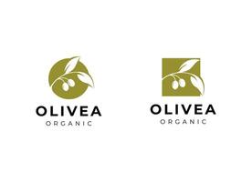 olive pétrole logo vecteur conception