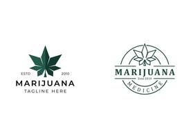 médical feuille marijuana, cannabis logo conception vecteur