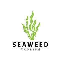 algue logo conception, sous-marin plante conception illustrations, produits de beauté et nourriture ingrédient vecteur