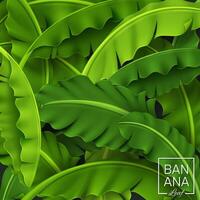 banane feuilles arrière-plan, vert tropical feuille, réaliste et Regardez frais, vecteur illustration