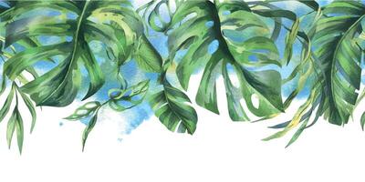 tropical noix de coco, banane paume feuilles, monstère, singe masque, frangipanier, brillant juteux vert. main tiré aquarelle botanique illustration. sans couture frontière est isolé de le Contexte vecteur