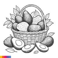 fruit panier ligne art illustration pour le coloration livre. des fruits coloration page. vecteur graphique