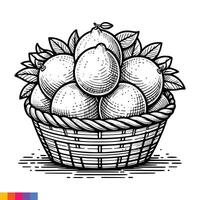 fruit panier ligne art illustration pour le coloration livre. des fruits coloration page. vecteur graphique