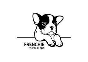 une mignonne français bouledogue chiot pose à le bord de le fenêtre vecteur