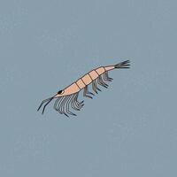 antarctique krill. main tiré contour esquisser dessin animé animal de Antarctique. polaire texturé illustration vecteur