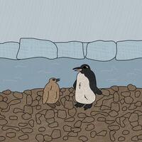 Roi manchot et une poussin. vecteur main tiré dessin animé illustration. deux antarctique des oiseaux sur le plage près le mer et icebergs. polaire texturé illustration