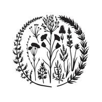 sauvage Prairie herbes floraison fleurs vecteur silhouettes collections illustration