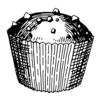 Chocolat puce petit gâteau dessert esquisser. main tiré vecteur illustration dans rétro style. Célibataire sucré nourriture griffonnage. contour clipart isolé sur blanc Contexte.