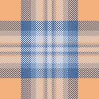 textile conception de texturé plaid. à carreaux en tissu modèle échantillon pour chemise, robe, costume, emballage papier imprimer, invitation et cadeau carte. vecteur