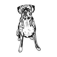 une espiègle chien dans noir et blanc vecteur illustration