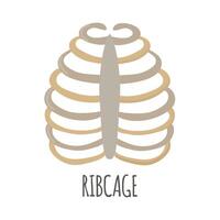 cage thoracique icône clipart avatar logotype isolé vecteur illustration