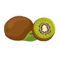 juteux et en bonne santé vert kiwi avec moitié isolé sur blanc Contexte. vecteur fruit illustration dans plat style. été clipart pour conception de carte, bannière, prospectus, vente, affiche, Icônes