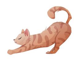 rouge tigré élongation national chat, vecteur isolé dessin animé illustration.
