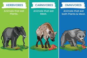 herbivores manger végétaux, omnivores manger tous les deux les plantes et animaux, carnivores proie sur animaux vecteur