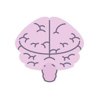 organe du cerveau humain vecteur