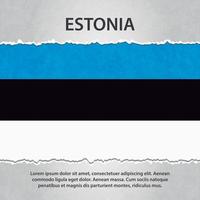 drapeau estonien sur papier déchiré vecteur