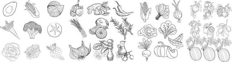 Ensemble de vecteurs d'icônes de glyphe de nourriture de légumes de baies de fruits, icônes de ligne de légumes, ensemble d'icônes de légumes