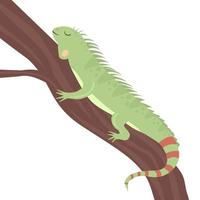 iguane mignon, vector illustration enfantine dans un style plat.