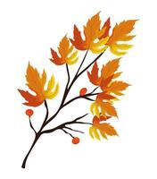 conception de feuilles d'automne vecteur