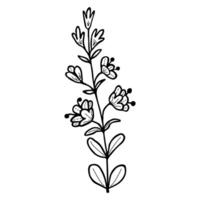 main tiré fleur et branches griffonnage. noir et blanc vecteur illustration esquisser. eps10