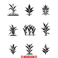 d'or des champs prime blé plante silhouettes paquet pour ferme graphique, Étiquettes, et emballage vecteur