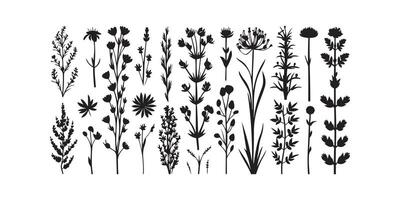 sauvage Prairie herbes floraison fleurs vecteur silhouettes collections vecteur art illustration