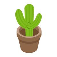 concepts de cactus à la mode vecteur