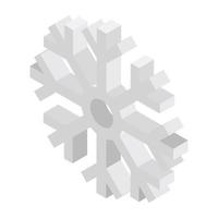 concepts de flocon de neige à la mode vecteur