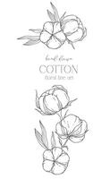 main tiré coton fleurs ligne art illustration. coton des balles isolé sur blanche. floral ligne art. coton plante noir et blanc illustration. bien ligne coton illustration. vecteur