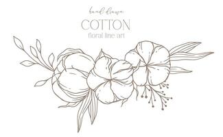 main tiré coton fleurs ligne art illustration. coton des balles isolé sur blanche. floral ligne art. coton plante noir et blanc illustration. bien ligne coton illustration. vecteur