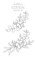 main tiré coton fleurs ligne art illustration. coton des balles isolé sur blanche. floral ligne art. coton plante noir et blanc illustration. bien ligne coton illustration. vecteur