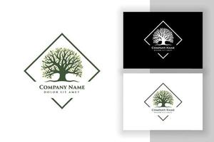 modèle de conception de logo d'illustration vectorielle de chêne. conceptions abstraites de logo d'arbre vibrant vecteur