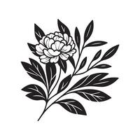 ai généré pivoine fleur silhouette noir et blanc illustration vecteur