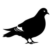 noir vecteur Pigeon icône isolé sur blanc Contexte