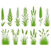 vecteur herbe verte naturelle, biologique, bio, label écologique et forme sur fond blanc.