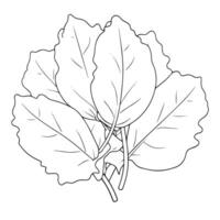 minimaliste vecteur contour de feuilles icône pour polyvalent utiliser.
