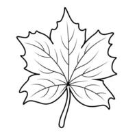 gracieux érable feuille contour icône dans vecteur format pour l'automne conceptions.