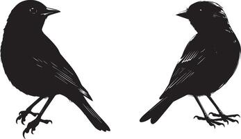 noir silhouette des oiseaux sur blanc Contexte vecteur