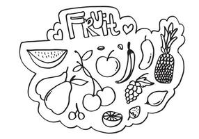 ensemble de fruits de griffonnage. dessin à la main de fruits dans différents styles. vecteur