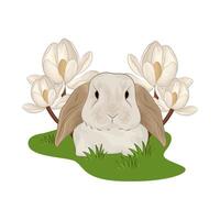 illustration de lapin vecteur