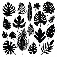 exotique feuille ensemble vecteur collection de tropical feuilles silhouette