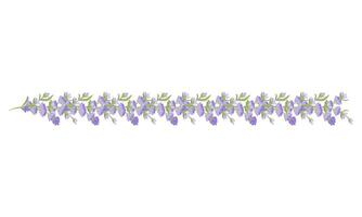 décoratif frontière de lavande fleurs pour votre conception. vecteur illustration isolé sur blanc Contexte.