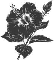 ai généré silhouette hibiscus fleur noir Couleur seulement vecteur