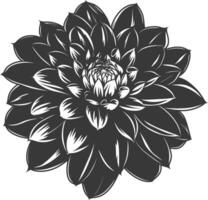 ai généré silhouette dahlia fleur noir Couleur seulement vecteur