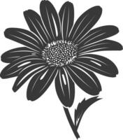 ai généré silhouette Marguerite fleur noir Couleur seulement vecteur