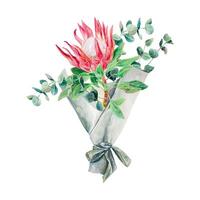 protea aquarelle, eucalyptus bifurquer, bouquet. vecteur illustration de rose fleurs. conception élément pour cartes, mariage faire-part, bannières, couvertures, Étiquettes, dépliants.