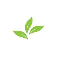 vert feuille logo icône vecteur