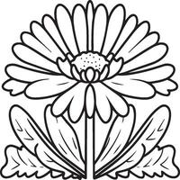 Marguerite fleur coloration pages. Marguerite contour vecteur pour coloration livre