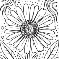 Marguerite fleur coloration pages. Marguerite contour vecteur pour coloration livre